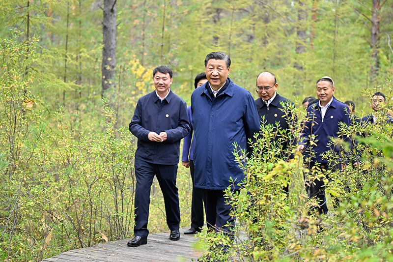 9月6日至8日，中共中央總書記、國家主席、中央軍委主席習(xí)近平在黑龍江考察。這是6日下午，習(xí)近平在大興安嶺地區(qū)漠河市漠河林場自然林區(qū)考察